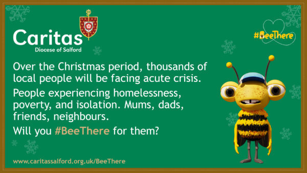 Green graphic with white snowflakes on it. A bee character wearing a blue cap with words next to him saying This Christmas period, thousands of people will be facing acute crisis. People experiencing homelessness and isolation. Mums, dads, friends, neighbours. Will you bee there for them?