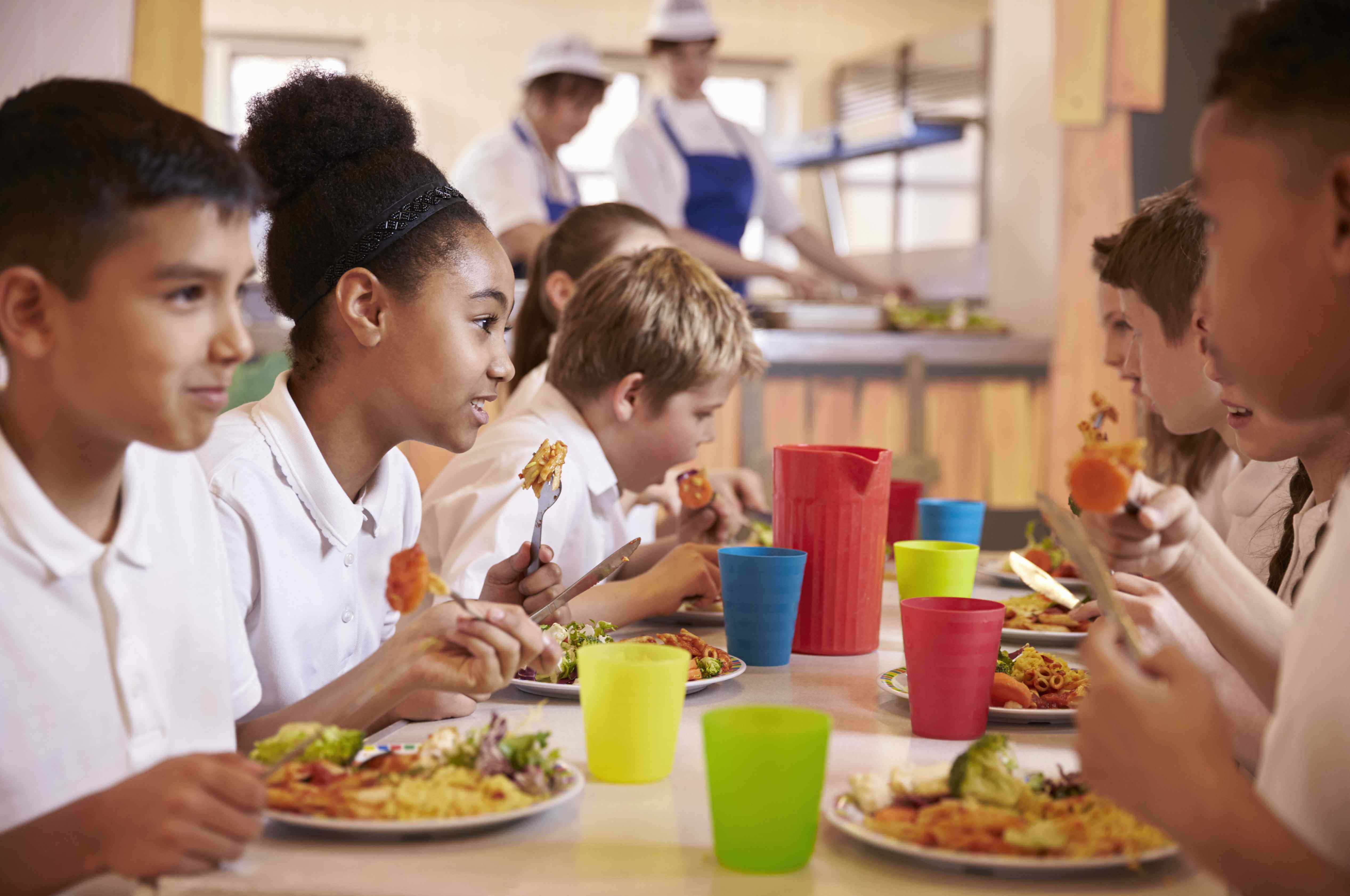 Free school meals for all